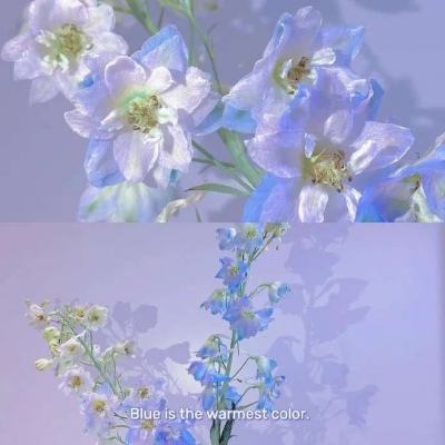 三亿体育app平台